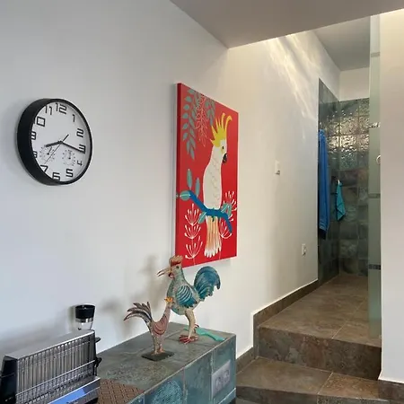 Oasis La Paz - Acaymo Loft - Adults Only - 公寓 拉克鲁斯