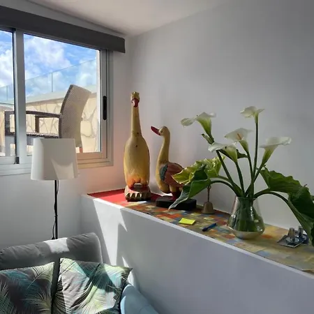 Oasis La Paz - Acaymo Loft - Adults Only - 公寓