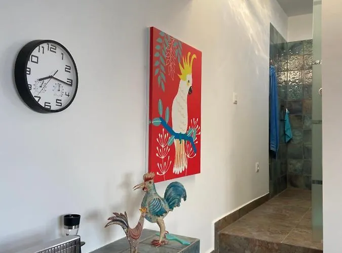 Oasis La Paz - Acaymo Loft - Adults Only - Апартаменты Пуэрто-де-ла-Крус