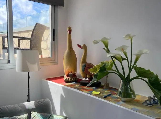 Oasis La Paz - Acaymo Loft - Adults Only - Апартаменты